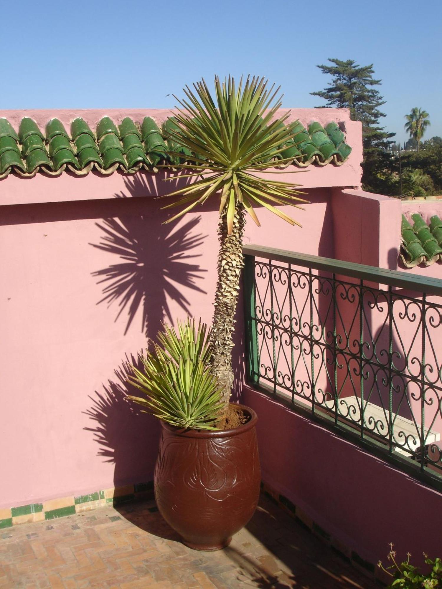 Riad Lahboul Meknes Luaran gambar